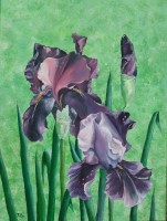 /album/a102-peintures-sur-huile/b18a-73-dscf7410-iris-mauves-ao%c3%bbt-2010-jpg/